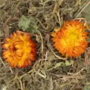 camomille pisenlit pour lapin nain.webp