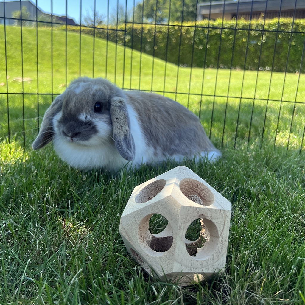 Balle de jeu en bois