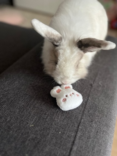 Porte clef tête de lapin pompon 